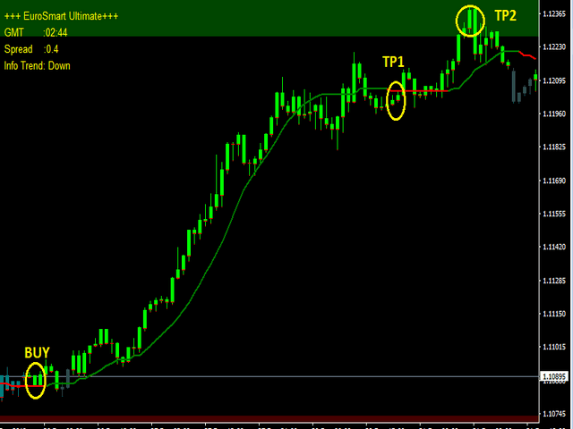 1 Sistema de Trading Euro Smart Lite para Investidores