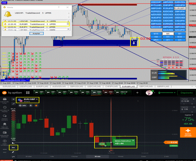 Estratégia IQ Option e Exnova para 1 a 5 Minutos